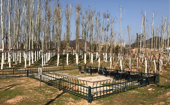 文興書(shū)院一體化及四地塊直飲水項(xiàng)目